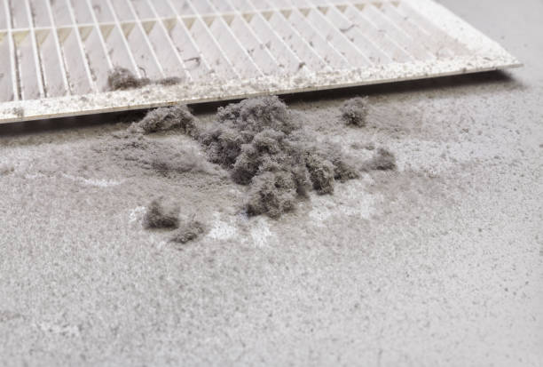 Best Dryer Vent Cleaning Services  in Lackawanna, NY